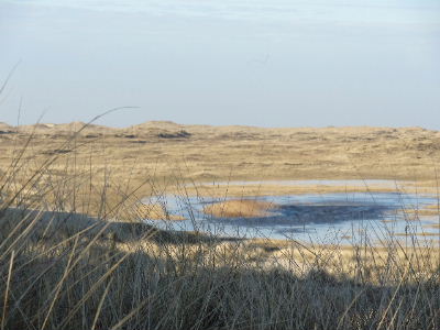 Winter auf Sylt Wenningstedt Einfahrt List zum Ellenbogen Januar