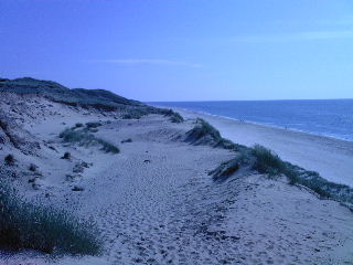 Ferienwohnungen Nordsee Ferienwohnungen Nordseeküste