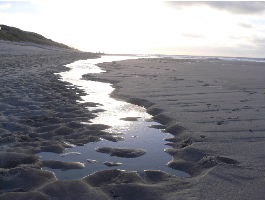 Winter auf Sylt Wenningstedt